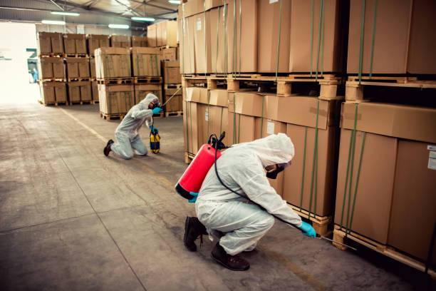 Best Mosquito Control Services  in Fremont, CA