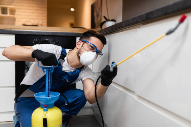 Best Best Pest Control Companies  in Fremont, CA