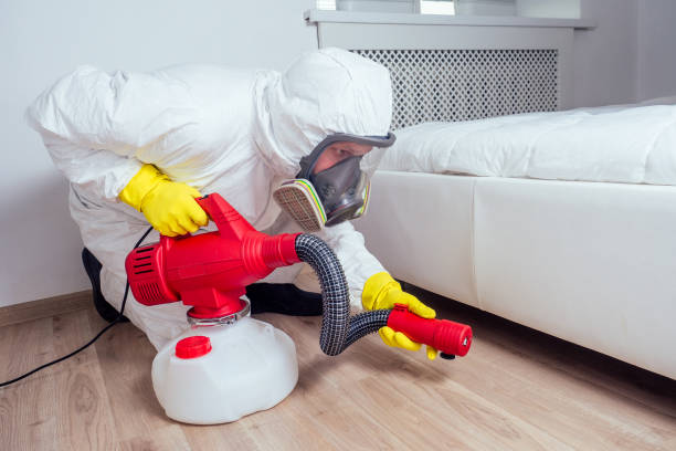 Best Residential Pest Control  in Fremont, CA